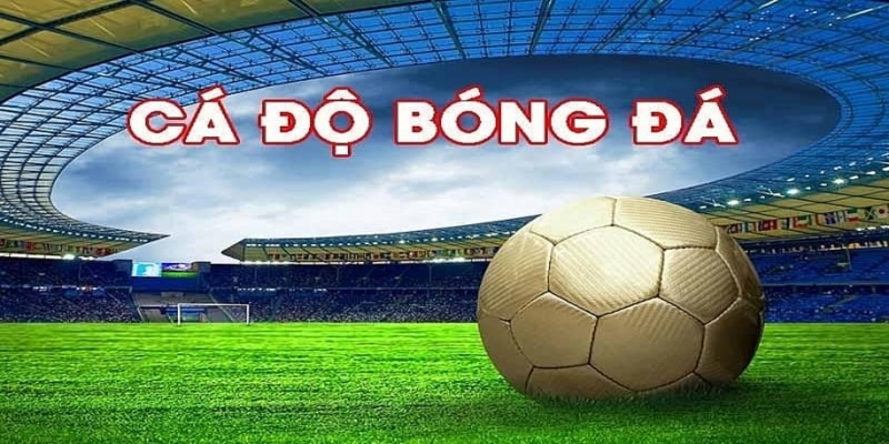 Điểm danh những môn thể thao nổi bật tại KUBET